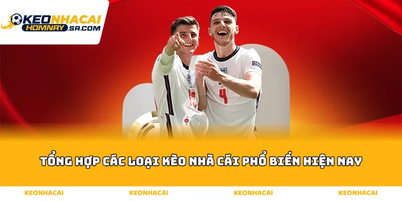 Tổng Hợp Các Loại Kèo Nhà Cái Phổ Biến Hiện Nay