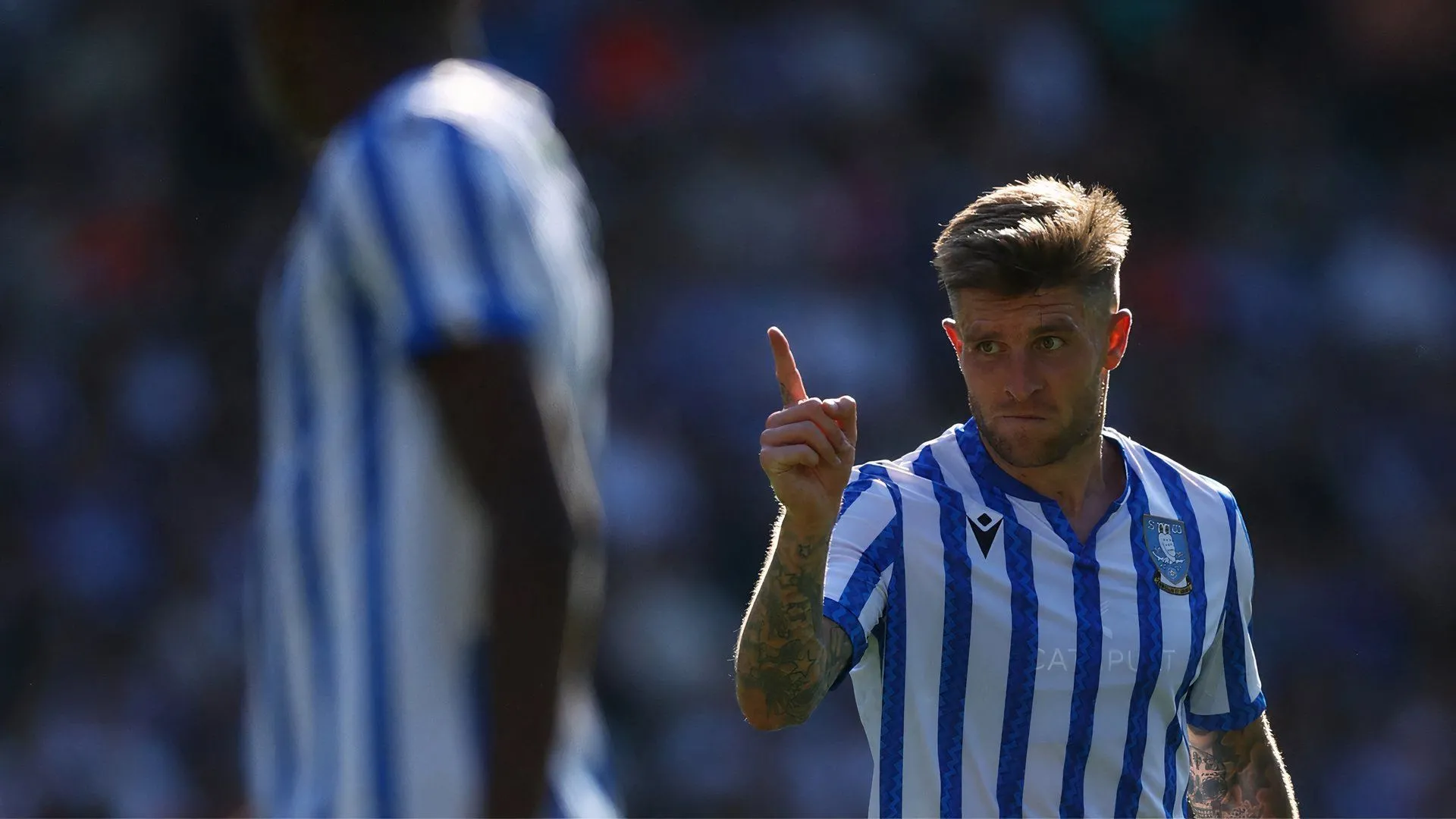 Josh Windass ngôi sao tấn công của Sheffield Wednesday